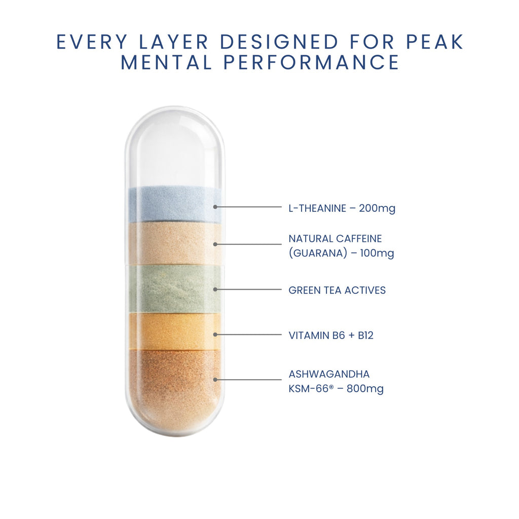 Focus, Stress & Energy Support Capsule