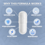 Focus, Stress & Energy Support Capsule