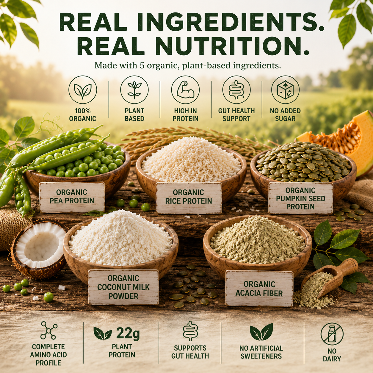 Daily Balance – Organic Plant Protein Powder, Chocolate