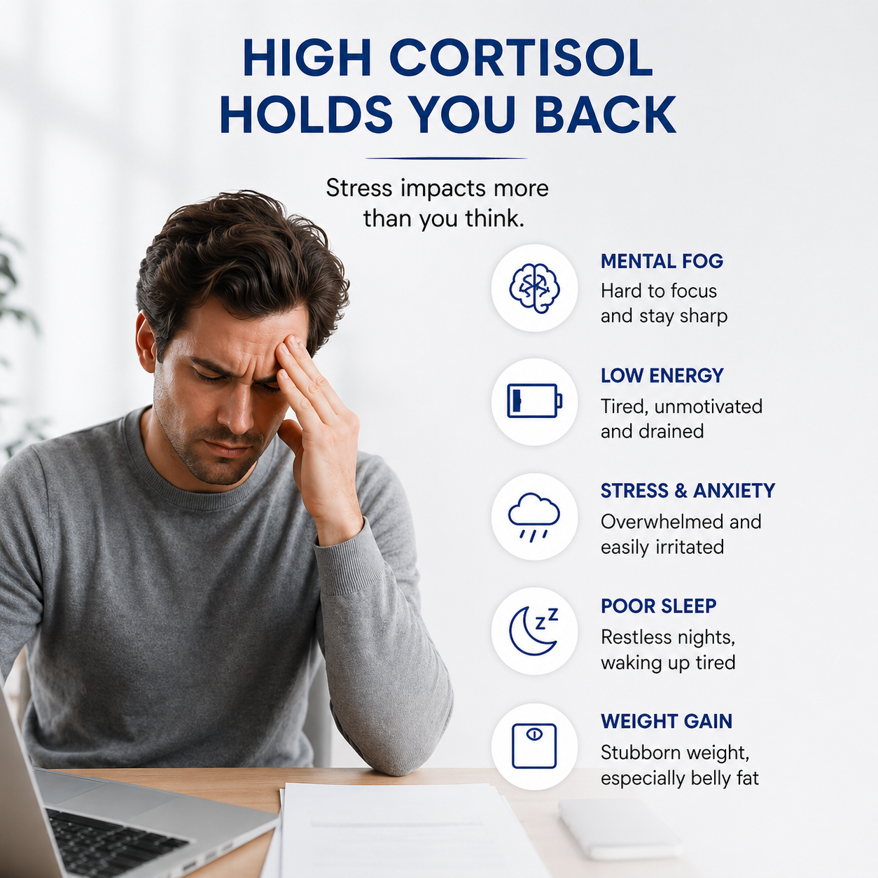 Focus, Stress & Energy Support Capsule