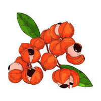 NATURAL CAFFEINE (Guarana)-100mg